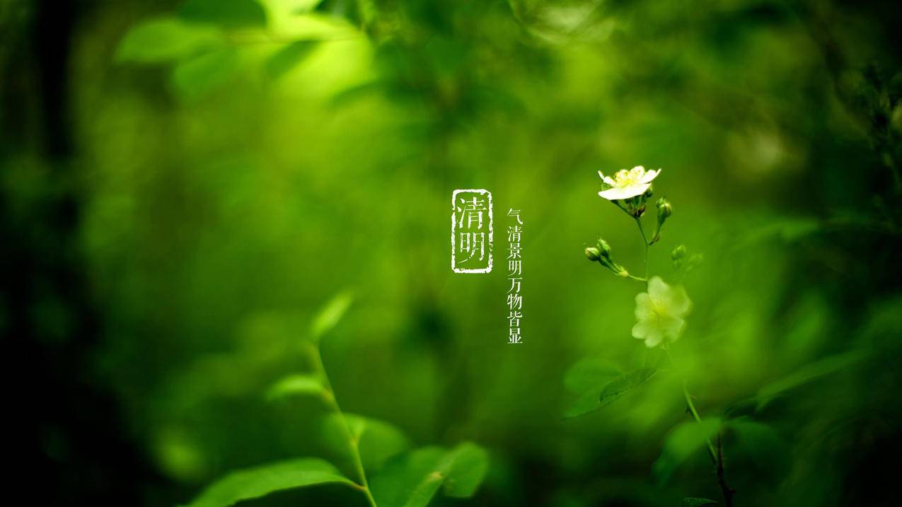 qq会员低价渠道,0.2元一万赞平台,淘宝24小时下单平台